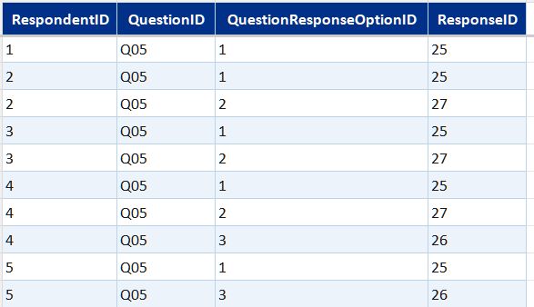 BridgeRespondentApp table preview