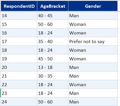 DimRespondent table preview